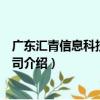 廣東匯青信息科技有限公司（關于廣東匯青信息科技有限公司介紹）