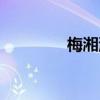 梅湘涵作品價格（梅湘涵）
