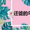 遷徙的鳥lqw（遷徙的鳥有哪些）