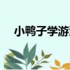 小鴨子學游泳（關于小鴨子學游泳簡介）