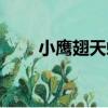 小鷹翅天蛾（關于小鷹翅天蛾簡介）