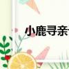 小鹿尋親記（關于小鹿尋親記簡介）