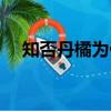 知否丹橘為什么出嫁（知否丹橘扮演者）
