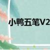 小鴨五筆V2.0（關于小鴨五筆V2.0簡介）