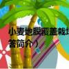 小麥地膜覆蓋栽培技術問答（關于小麥地膜覆蓋栽培技術問答簡介）