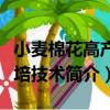 小麥棉花高產栽培技術（關于小麥棉花高產栽培技術簡介）