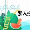 紫人控制杰西卡圖片（紫人）