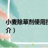 小麥除草劑使用技術圖解（關于小麥除草劑使用技術圖解簡介）