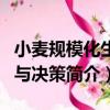 小麥規模化生產與決策（關于小麥規模化生產與決策簡介）