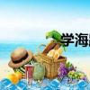 學海路（關于學海路介紹）
