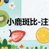 小鹿斑比-注音版（關于小鹿斑比-注音版簡介）
