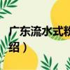 廣東流水式粉碎機（關于廣東流水式粉碎機介紹）