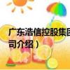 廣東浩信控股集團有限公司（關于廣東浩信控股集團有限公司介紹）