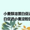 小麥醇溶蛋白促進小麥淀粉回生機制研究（關于小麥醇溶蛋白促進小麥淀粉回生機制研究簡介）