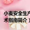小麥安全生產技術指南（關于小麥安全生產技術指南簡介）