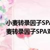 小麥轉錄因子SPA對小麥儲藏蛋白基因調控的研究（關于小麥轉錄因子SPA對小麥儲藏蛋白基因調控的研究簡介）