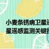 小麥條銹病衛星遙感監測關鍵技術研究（關于小麥條銹病衛星遙感監測關鍵技術研究簡介）