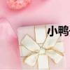 小鴨子（關于小鴨子簡介）