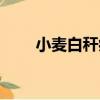 小麥白稈病（關于小麥白稈病簡介）