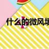 什么的微風填空形容詞（什么的微風填空）