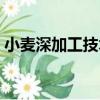 小麥深加工技術（關于小麥深加工技術簡介）