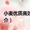 小麥優質高效栽培（關于小麥優質高效栽培簡介）