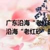 廣東沿海“老紅砂”的成因、時代及古環境意義（關于廣東沿海“老紅砂”的成因、時代及古環境意義介紹）
