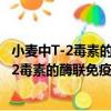 小麥中T-2毒素的酶聯免疫吸附測定(ELISA)（關于小麥中T-2毒素的酶聯免疫吸附測定(ELISA)簡介）