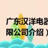 廣東漢洋電器有限公司（關于廣東漢洋電器有限公司介紹）