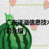 廣東洋溢信息技術有限公司（關于廣東洋溢信息技術有限公司介紹）