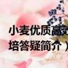 小麥優質高效栽培答疑（關于小麥優質高效栽培答疑簡介）