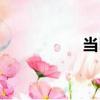 當巴（關于當巴介紹）