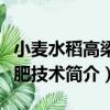 小麥水稻高梁施肥技術（關于小麥水稻高梁施肥技術簡介）