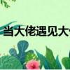 當大佬遇見大佬（關于當大佬遇見大佬介紹）