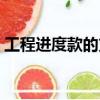 工程進度款的支付有哪些規定（工程進度款）