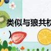 類似與狼共枕的電視劇（類似與狼共枕的小說）