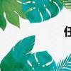 任是怎么到橋上的？