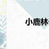 小鹿林子（關于小鹿林子簡介）