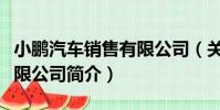 小鵬汽車銷售有限公司(關于小鵬汽車銷售有限公司簡介)