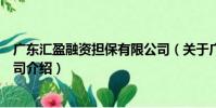 廣東匯盈融資擔保有限公司(關于廣東匯盈融資擔保有限公司介紹)