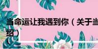 當命運讓我遇到你(關于當命運讓我遇到你介紹)
