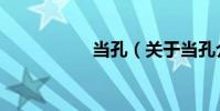 當孔(關于當孔介紹)