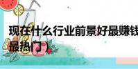 現在什么行業前景好最賺錢的(現在什么行業最熱門)