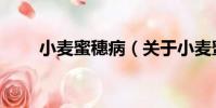 小麥蜜穗病(關于小麥蜜穗病簡介)
