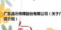 廣東流洐傳媒股份有限公司(關于廣東流洐傳媒股份有限公司介紹)