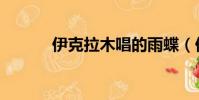 伊克拉木唱的雨蝶(伊克世寶)