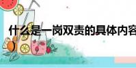 什么是一崗雙責的具體內容(什么是一崗雙責)