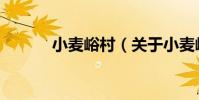 小麥峪村(關于小麥峪村簡介)