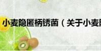 小麥隱匿柄銹菌(關于小麥隱匿柄銹菌簡介)