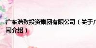 廣東浩致投資集團有限公司(關于廣東浩致投資集團有限公司介紹)